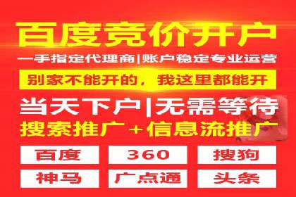 成功案例揭秘：百度竞价账户托管的运营之道